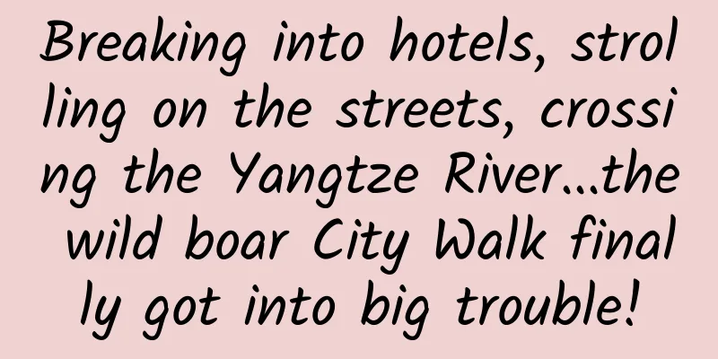 Breaking into hotels, strolling on the streets, crossing the Yangtze River...the wild boar City Walk finally got into big trouble!