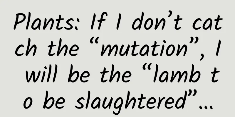 Plants: If I don’t catch the “mutation”, I will be the “lamb to be slaughtered”…