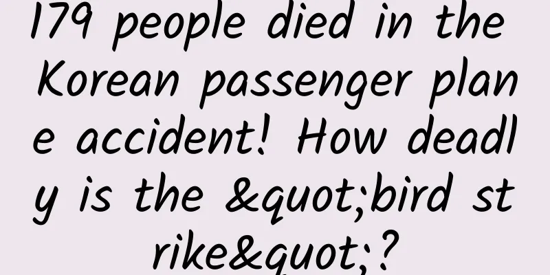 179 people died in the Korean passenger plane accident! How deadly is the "bird strike"?