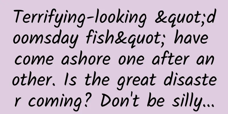 Terrifying-looking "doomsday fish" have come ashore one after another. Is the great disaster coming? Don't be silly...