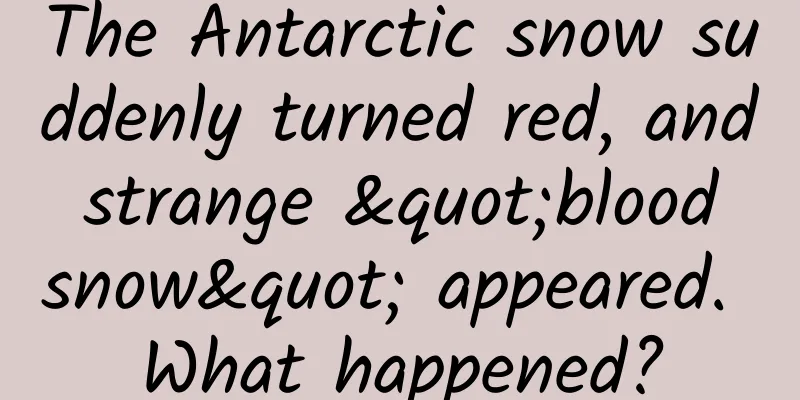 The Antarctic snow suddenly turned red, and strange "blood snow" appeared. What happened?