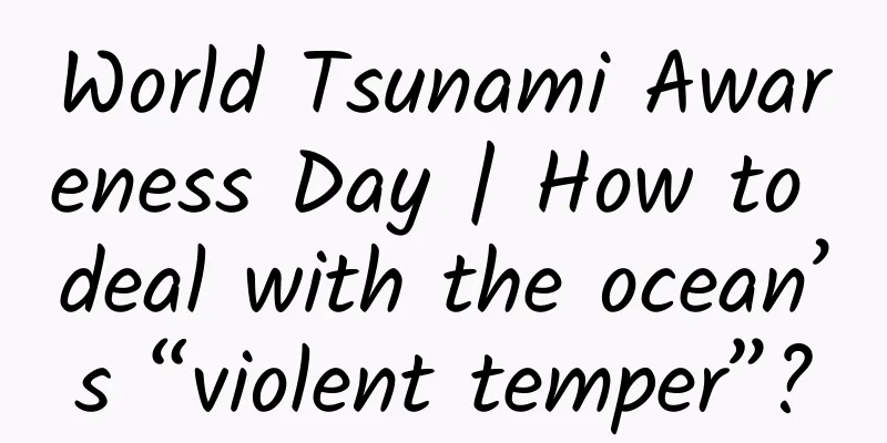 World Tsunami Awareness Day | How to deal with the ocean’s “violent temper”?