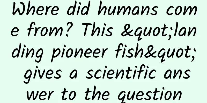 Where did humans come from? This "landing pioneer fish" gives a scientific answer to the question