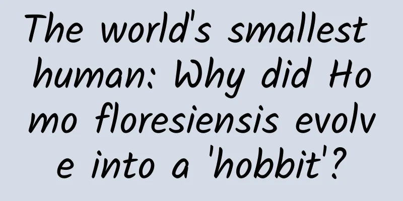The world's smallest human: Why did Homo floresiensis evolve into a 'hobbit'?