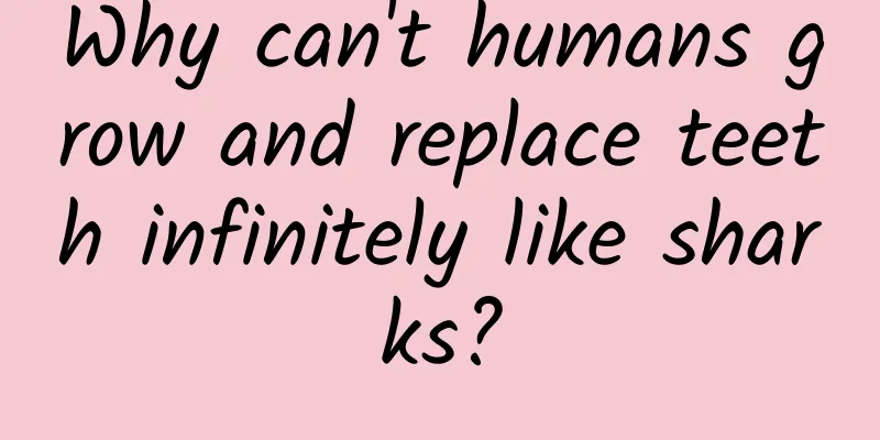 Why can't humans grow and replace teeth infinitely like sharks?