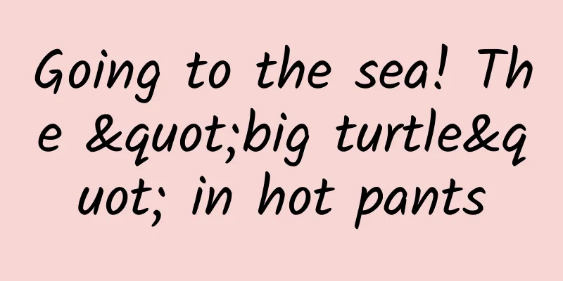 Going to the sea! The "big turtle" in hot pants