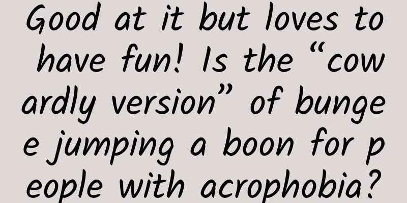 Good at it but loves to have fun! Is the “cowardly version” of bungee jumping a boon for people with acrophobia?