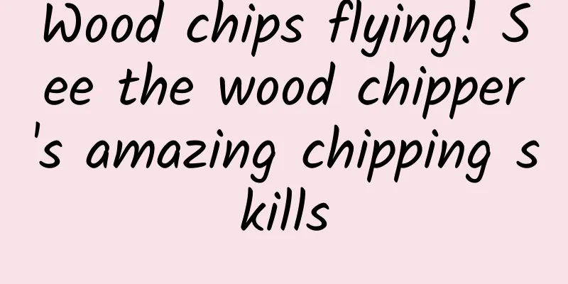 Wood chips flying! See the wood chipper's amazing chipping skills