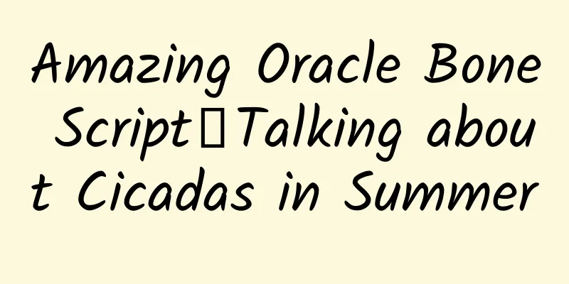 Amazing Oracle Bone Script丨Talking about Cicadas in Summer