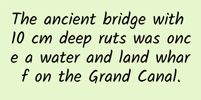 The ancient bridge with 10 cm deep ruts was once a water and land wharf on the Grand Canal.