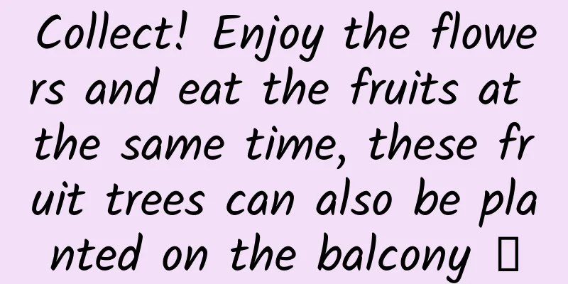 Collect! Enjoy the flowers and eat the fruits at the same time, these fruit trees can also be planted on the balcony →