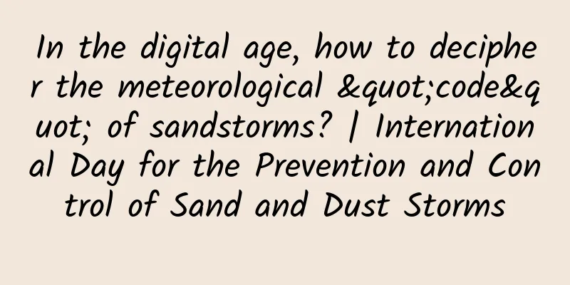 In the digital age, how to decipher the meteorological "code" of sandstorms? | International Day for the Prevention and Control of Sand and Dust Storms