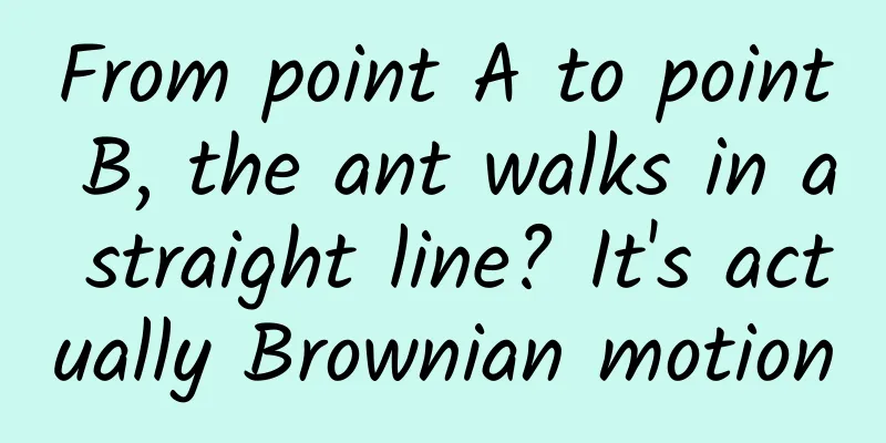 From point A to point B, the ant walks in a straight line? It's actually Brownian motion