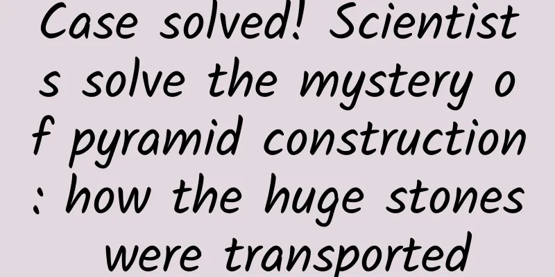 Case solved! Scientists solve the mystery of pyramid construction: how the huge stones were transported