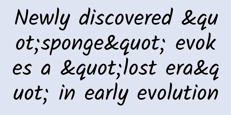 Newly discovered "sponge" evokes a "lost era" in early evolution