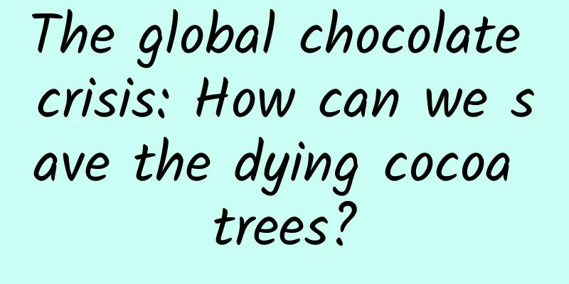 The global chocolate crisis: How can we save the dying cocoa trees?