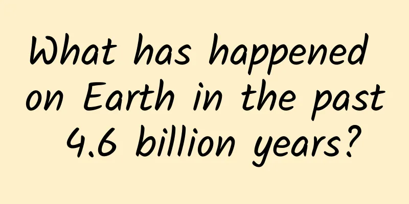 What has happened on Earth in the past 4.6 billion years?