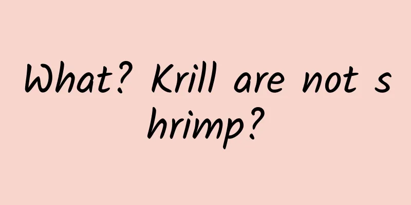 What? Krill are not shrimp?