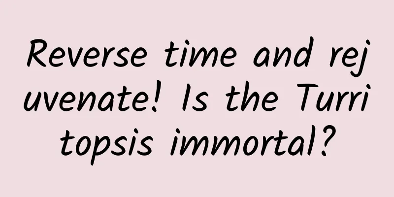 Reverse time and rejuvenate! Is the Turritopsis immortal?
