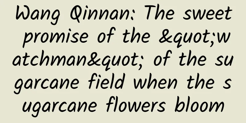 Wang Qinnan: The sweet promise of the "watchman" of the sugarcane field when the sugarcane flowers bloom