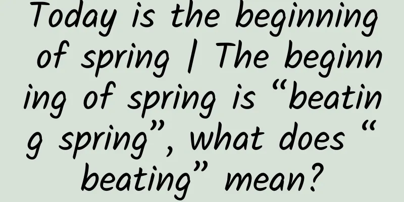 Today is the beginning of spring | The beginning of spring is “beating spring”, what does “beating” mean?