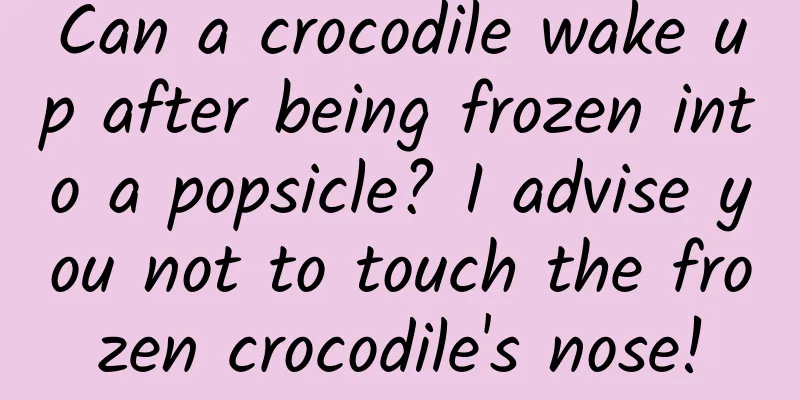 Can a crocodile wake up after being frozen into a popsicle? I advise you not to touch the frozen crocodile's nose!