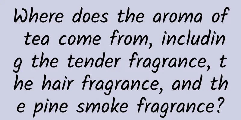 Where does the aroma of tea come from, including the tender fragrance, the hair fragrance, and the pine smoke fragrance?