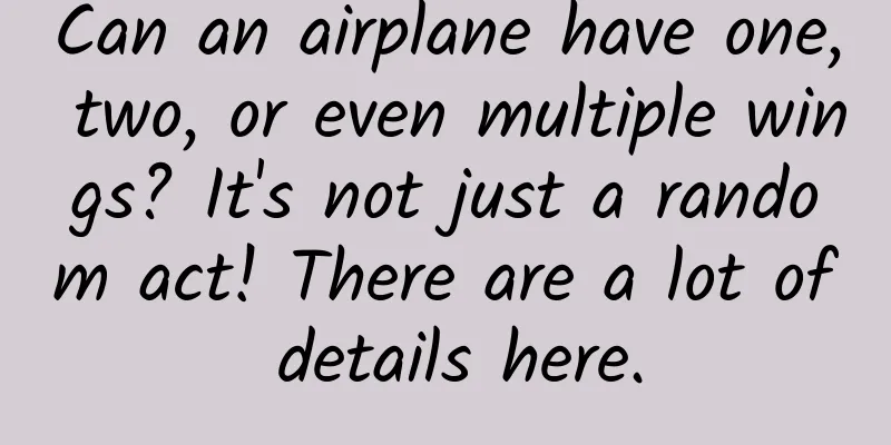 Can an airplane have one, two, or even multiple wings? It's not just a random act! There are a lot of details here.