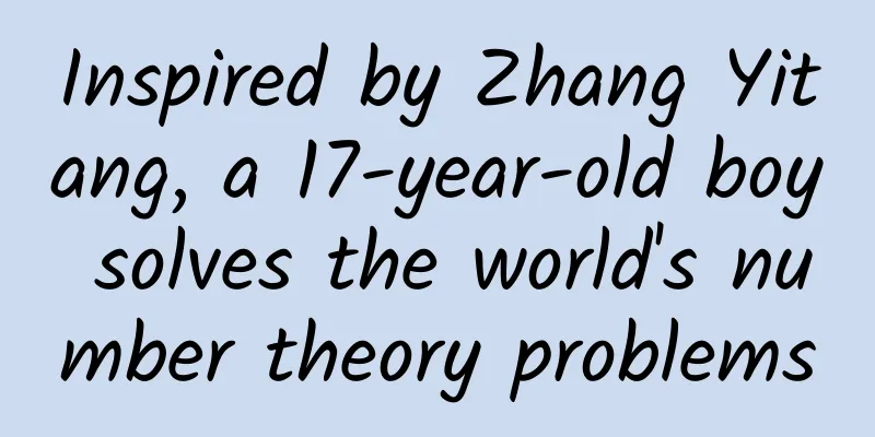 Inspired by Zhang Yitang, a 17-year-old boy solves the world's number theory problems