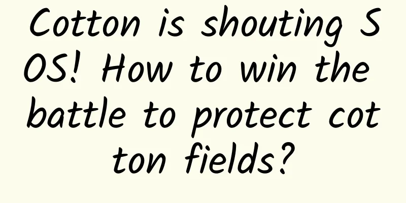 Cotton is shouting SOS! How to win the battle to protect cotton fields?
