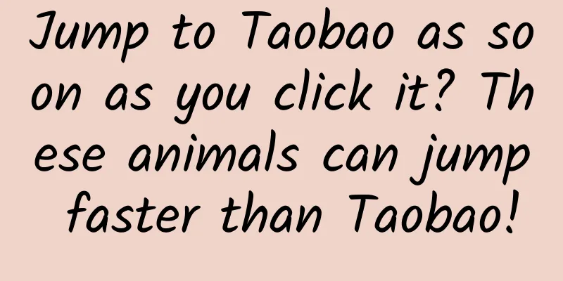 Jump to Taobao as soon as you click it? These animals can jump faster than Taobao!