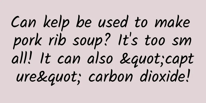 Can kelp be used to make pork rib soup? It's too small! It can also "capture" carbon dioxide!