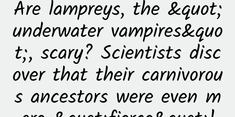 Are lampreys, the "underwater vampires", scary? Scientists discover that their carnivorous ancestors were even more "fierce"!