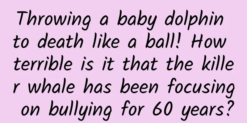 Throwing a baby dolphin to death like a ball! How terrible is it that the killer whale has been focusing on bullying for 60 years?