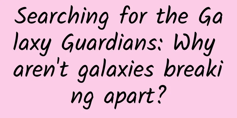 Searching for the Galaxy Guardians: Why aren't galaxies breaking apart?