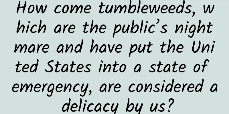 How come tumbleweeds, which are the public’s nightmare and have put the United States into a state of emergency, are considered a delicacy by us?