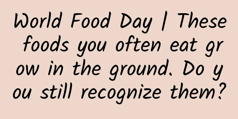 World Food Day | These foods you often eat grow in the ground. Do you still recognize them?