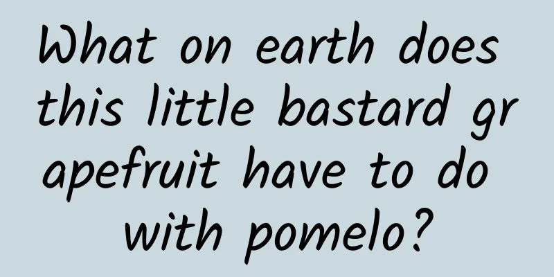 What on earth does this little bastard grapefruit have to do with pomelo?