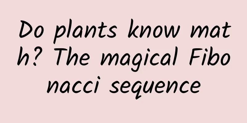 Do plants know math? The magical Fibonacci sequence