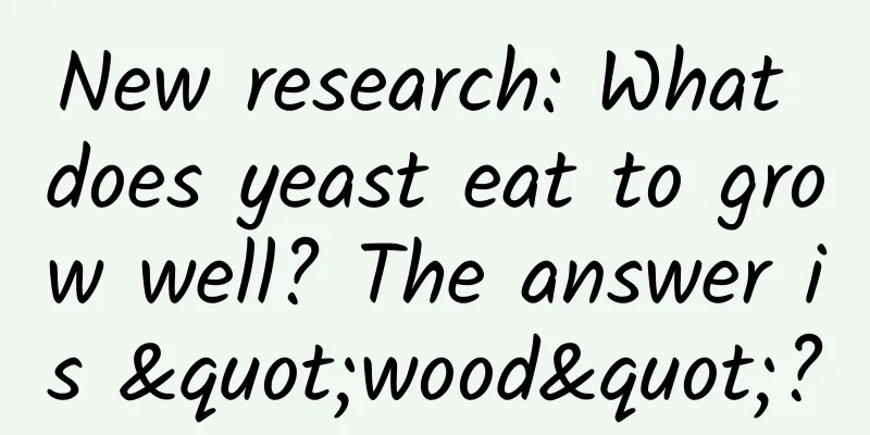 New research: What does yeast eat to grow well? The answer is "wood"?