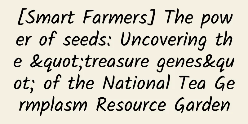 [Smart Farmers] The power of seeds: Uncovering the "treasure genes" of the National Tea Germplasm Resource Garden