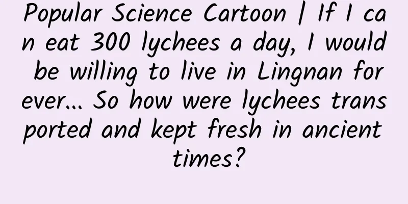 Popular Science Cartoon | If I can eat 300 lychees a day, I would be willing to live in Lingnan forever... So how were lychees transported and kept fresh in ancient times?