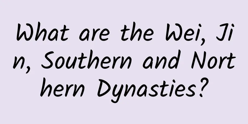 What are the Wei, Jin, Southern and Northern Dynasties?