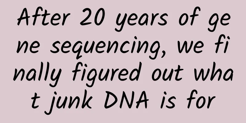 After 20 years of gene sequencing, we finally figured out what junk DNA is for