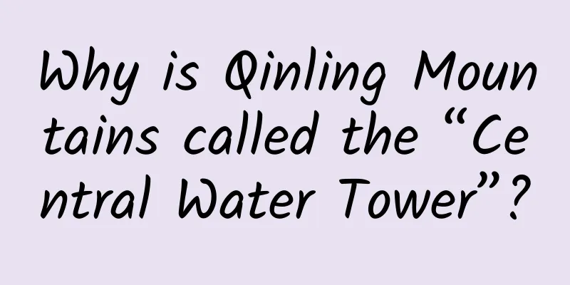 Why is Qinling Mountains called the “Central Water Tower”?