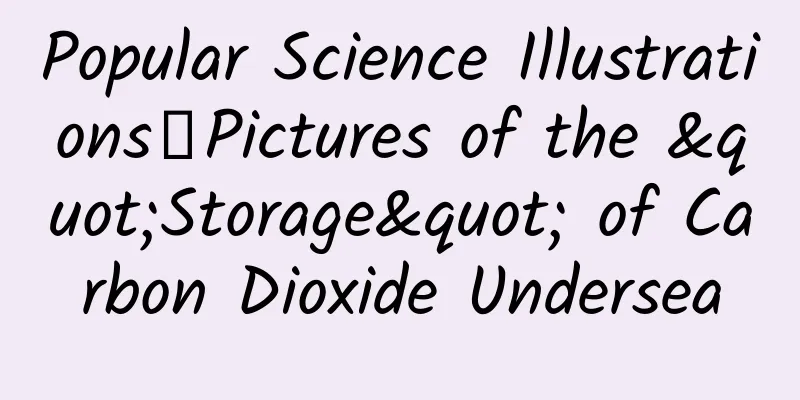 Popular Science Illustrations丨Pictures of the "Storage" of Carbon Dioxide Undersea