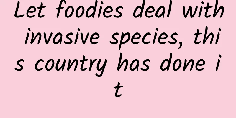 Let foodies deal with invasive species, this country has done it