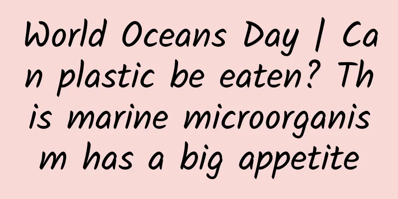 World Oceans Day | Can plastic be eaten? This marine microorganism has a big appetite
