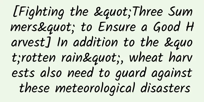 [Fighting the "Three Summers" to Ensure a Good Harvest] In addition to the "rotten rain", wheat harvests also need to guard against these meteorological disasters