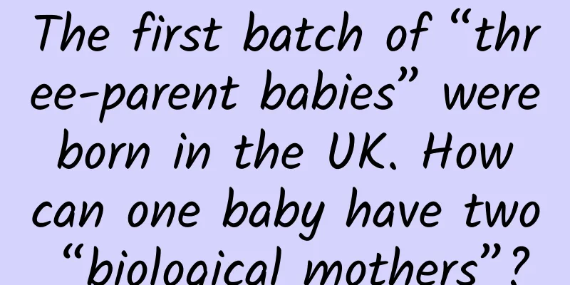 The first batch of “three-parent babies” were born in the UK. How can one baby have two “biological mothers”?